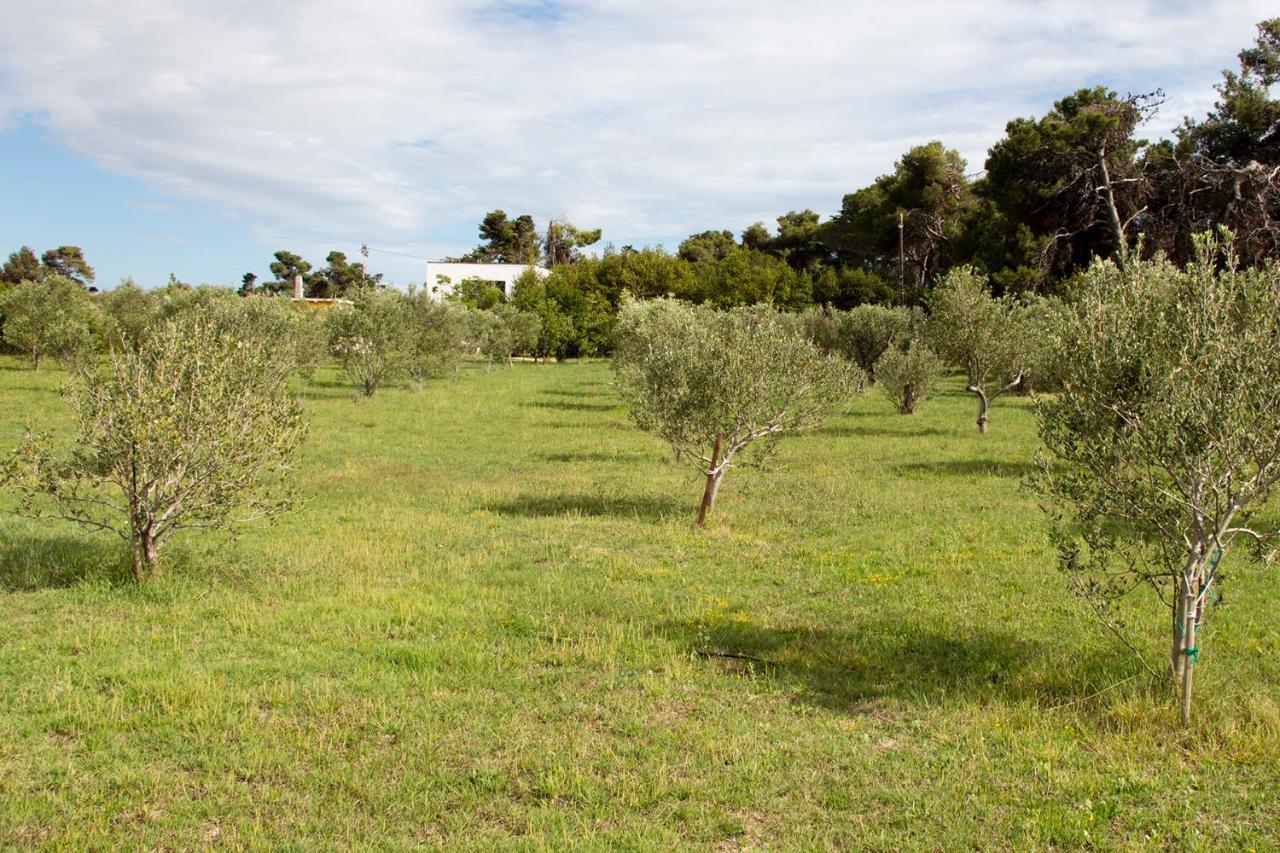 זאדאר Villa Rosemary Park מראה חיצוני תמונה
