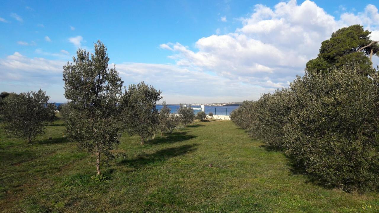 זאדאר Villa Rosemary Park מראה חיצוני תמונה