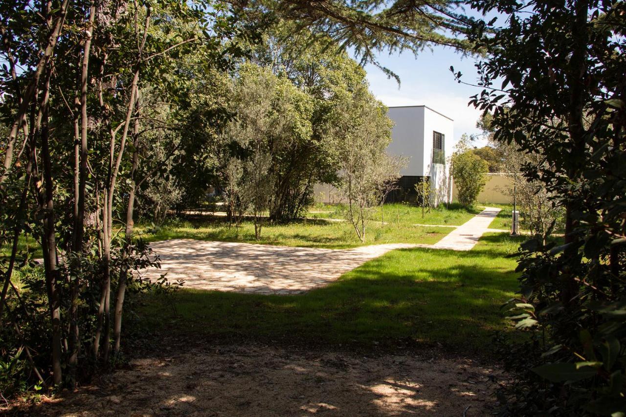 זאדאר Villa Rosemary Park מראה חיצוני תמונה