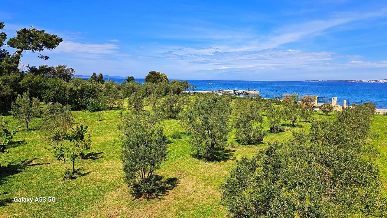 זאדאר Villa Rosemary Park מראה חיצוני תמונה